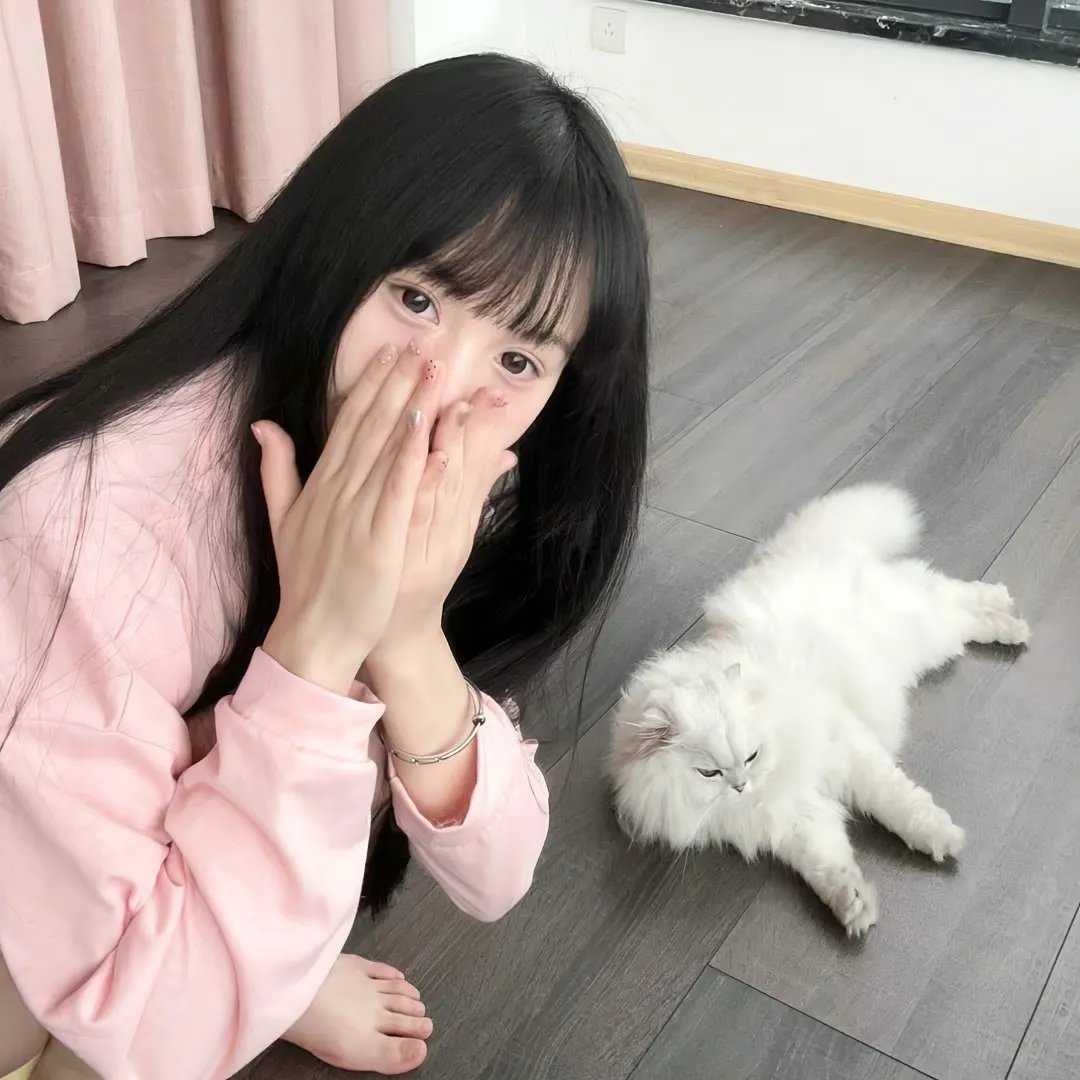 狄仁杰之运河惊龙